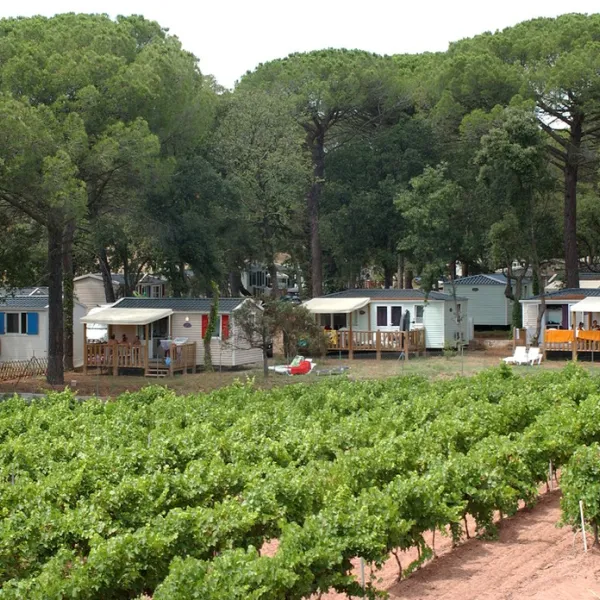 camping-les-cigales-var-r5oky