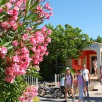 camping-le-clos-virgile-srignan-plage-gus7w