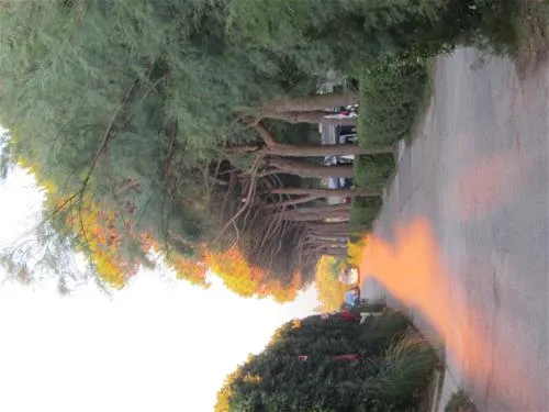 camping-village-garden-paradiso-cavallinotreporti-43cpd
