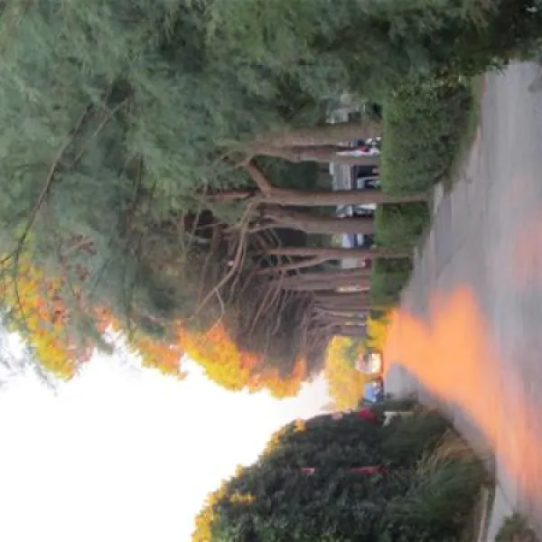 camping-village-garden-paradiso-cavallinotreporti-43cpd
