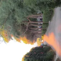 camping-village-garden-paradiso-cavallinotreporti-43cpd