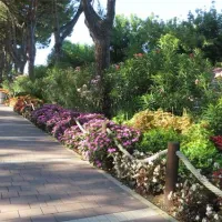 camping-village-garden-paradiso-cavallinotreporti-ovjeh