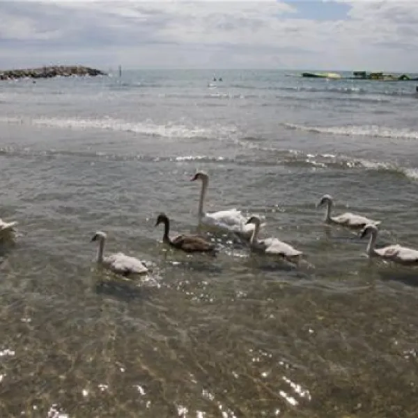 camping-village-garden-paradiso-cavallinotreporti-vfbmi