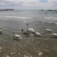 camping-village-garden-paradiso-cavallinotreporti-vfbmi