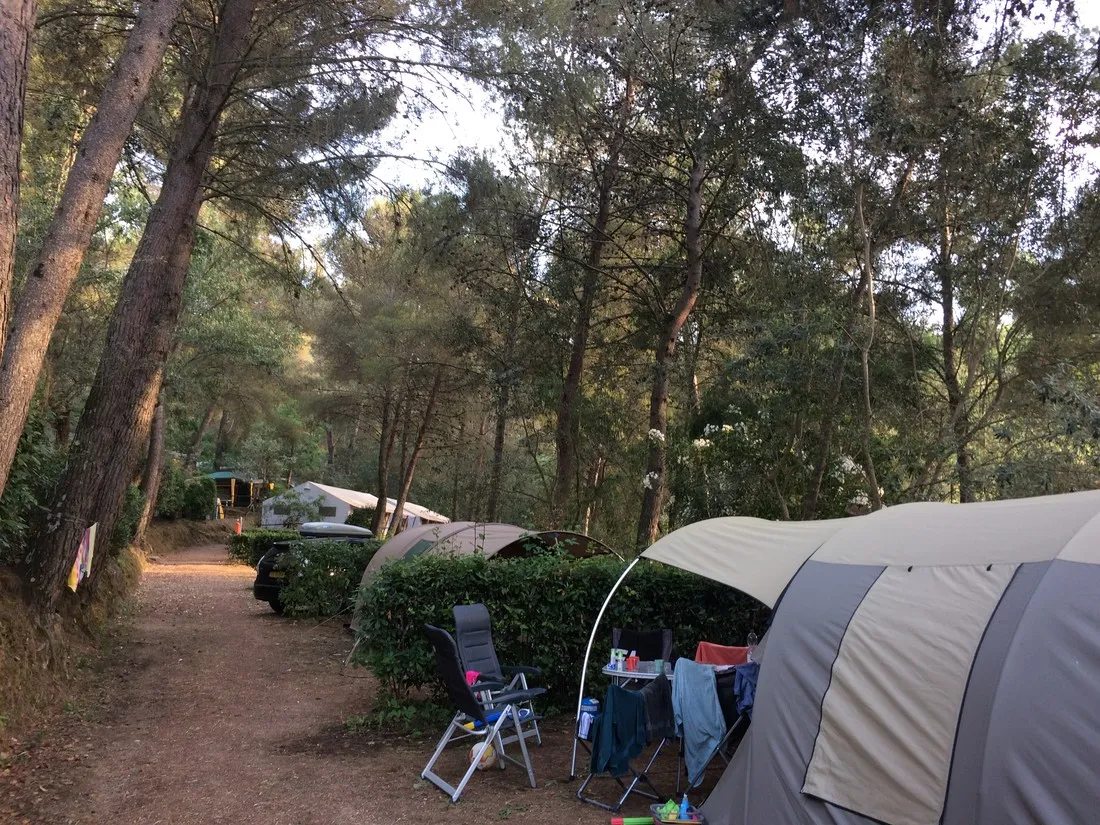 camping-le-pianacce-castagneto-carducci-06gsp