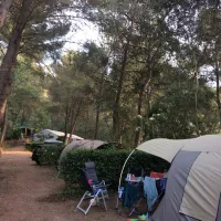 camping-le-pianacce-castagneto-carducci-06gsp