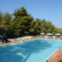 camping-le-pianacce-castagneto-carducci-anko8
