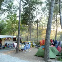 camping-le-pianacce-castagneto-carducci-neovk
