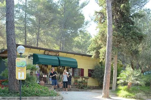 camping-le-pianacce-castagneto-carducci-zkdts