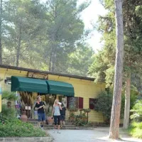 camping-le-pianacce-castagneto-carducci-zkdts