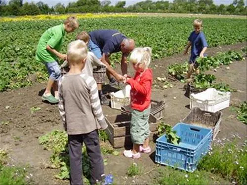 minicamping-de-visser-zoutelande-99i6j