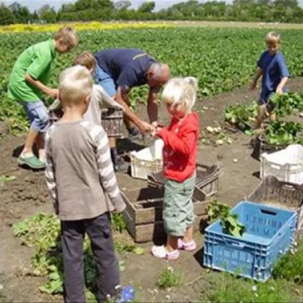 minicamping-de-visser-zoutelande-99i6j