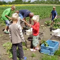 minicamping-de-visser-zoutelande-99i6j