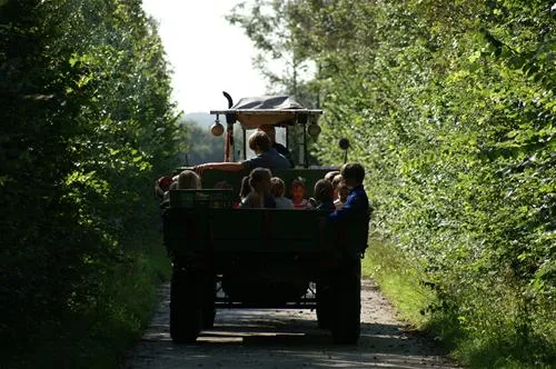 minicamping-de-visser-zoutelande-afyu4