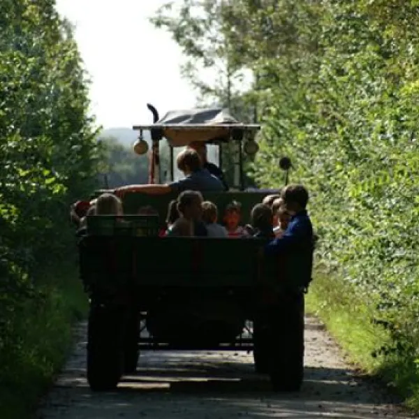 minicamping-de-visser-zoutelande-afyu4