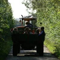 minicamping-de-visser-zoutelande-afyu4