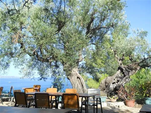 campsite-tartaruga-zakynthos-kpio1