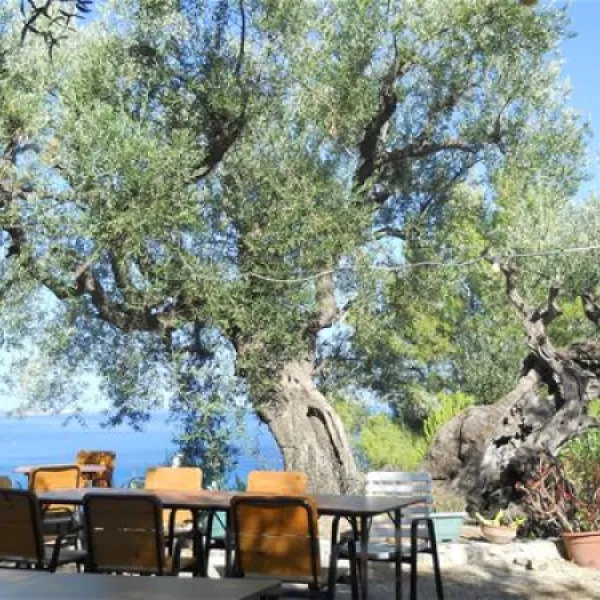 campsite-tartaruga-zakynthos-kpio1