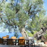 campsite-tartaruga-zakynthos-kpio1