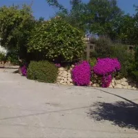 Camping la Pinada