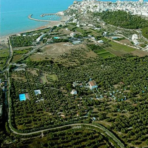 Camping Village Parco Degli Ulivi