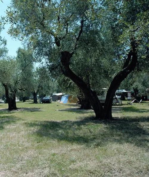camping-village-parco-degli-ulivi-peschici-gqndl