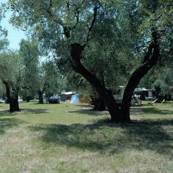 Camping Village Parco Degli Ulivi