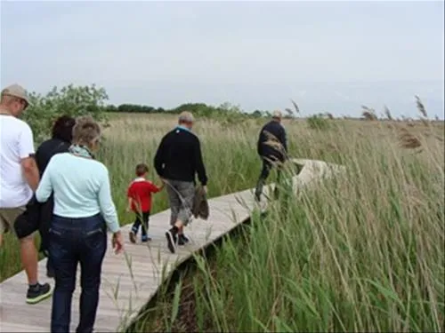 hejlsminde-strand-camping-hejls-7jxe4