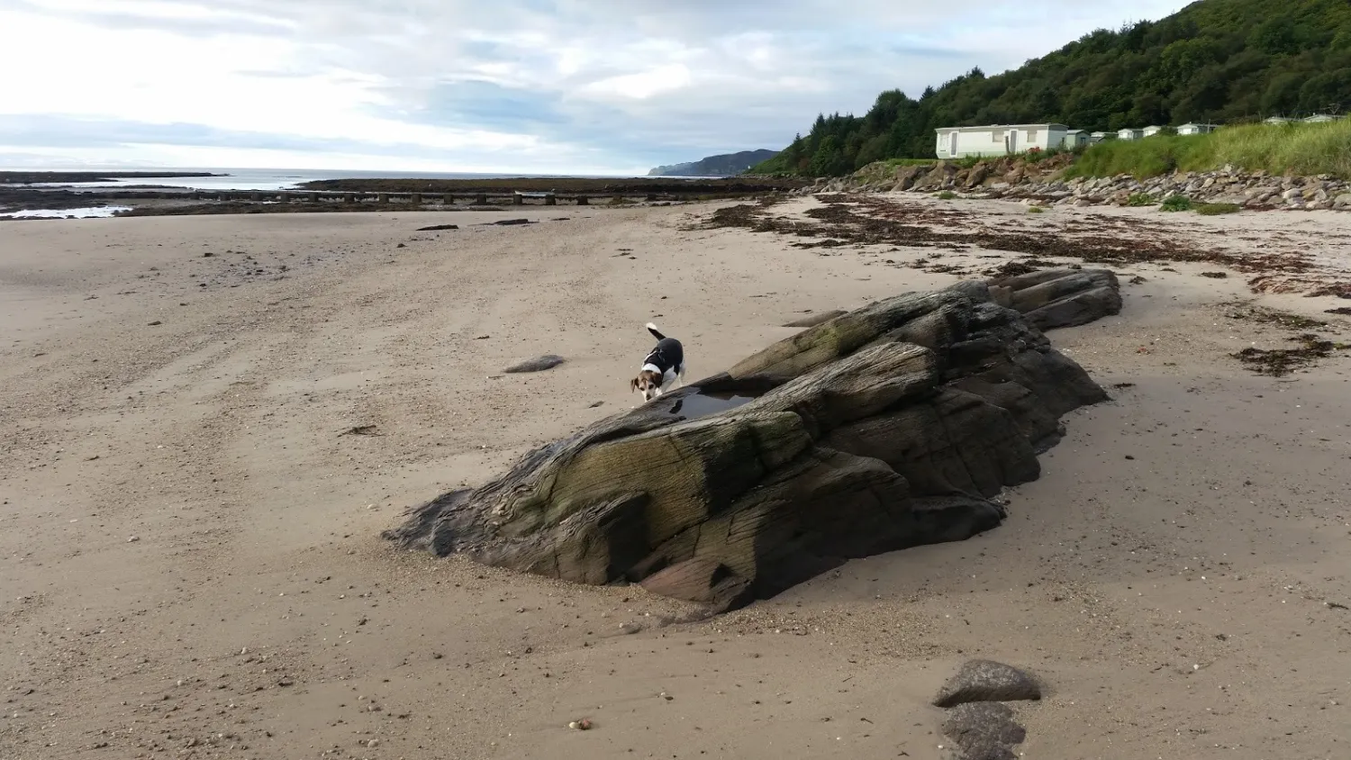 peninver-sands-caravan-park-peninver-wuugc