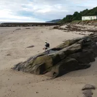 Peninver Sands Caravan Park