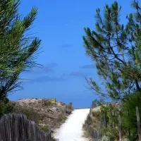 yelloh-village-les-grands-pins-lacanau-ocan-0k6ka