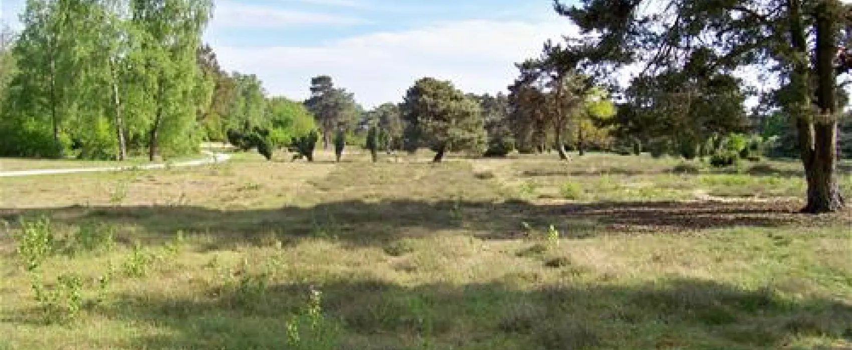 Campingpark Haddorfer Seen