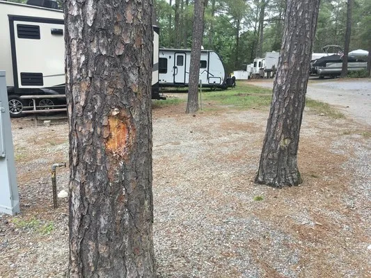 christopher-run-campground-mineral-ubztv