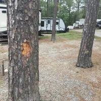 christopher-run-campground-mineral-ubztv