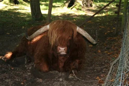 blair-castle-caravan-park-blair-atholl-qohve