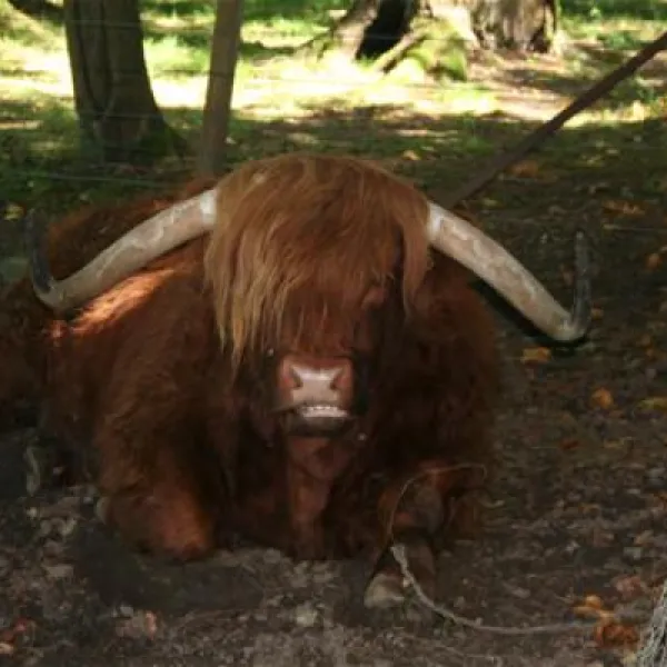 blair-castle-caravan-park-blair-atholl-qohve