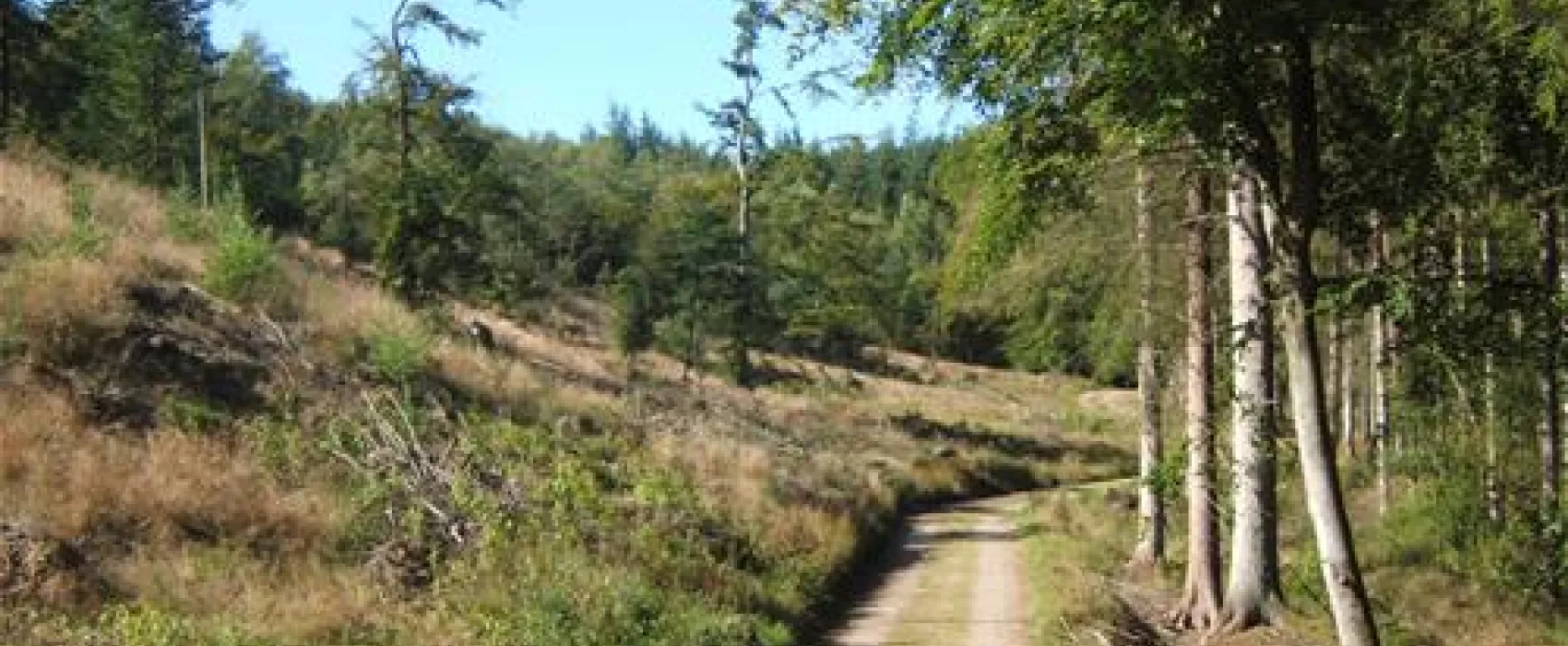 Camping Velling Koller