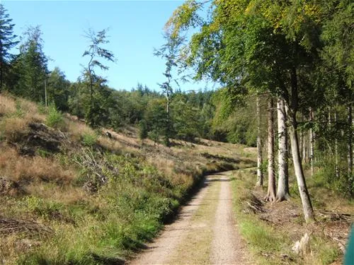 camping-velling-koller-bryrup-ikan6
