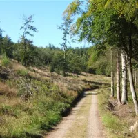 camping-velling-koller-bryrup-ikan6