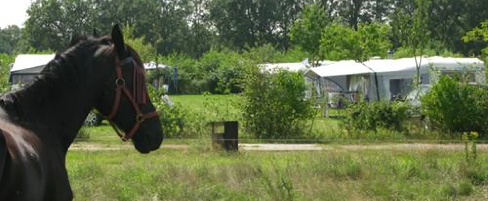 Vakantieverblijf de Rozenhorst