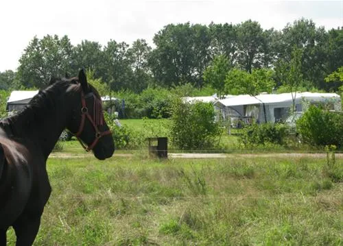 vakantieverblijf-de-rozenhorst-lottum-kazgp