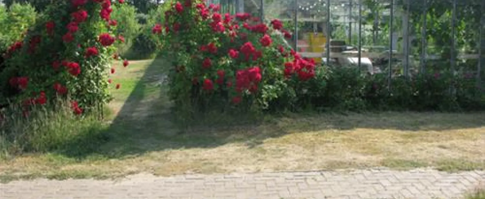 Vakantieverblijf de Rozenhorst