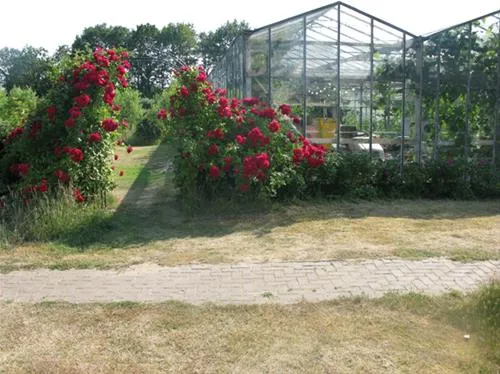 vakantieverblijf-de-rozenhorst-lottum-qljgb