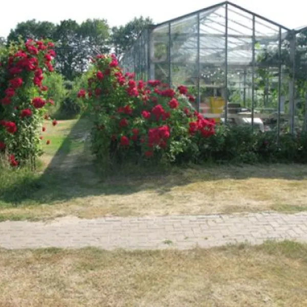 vakantieverblijf-de-rozenhorst-lottum-qljgb