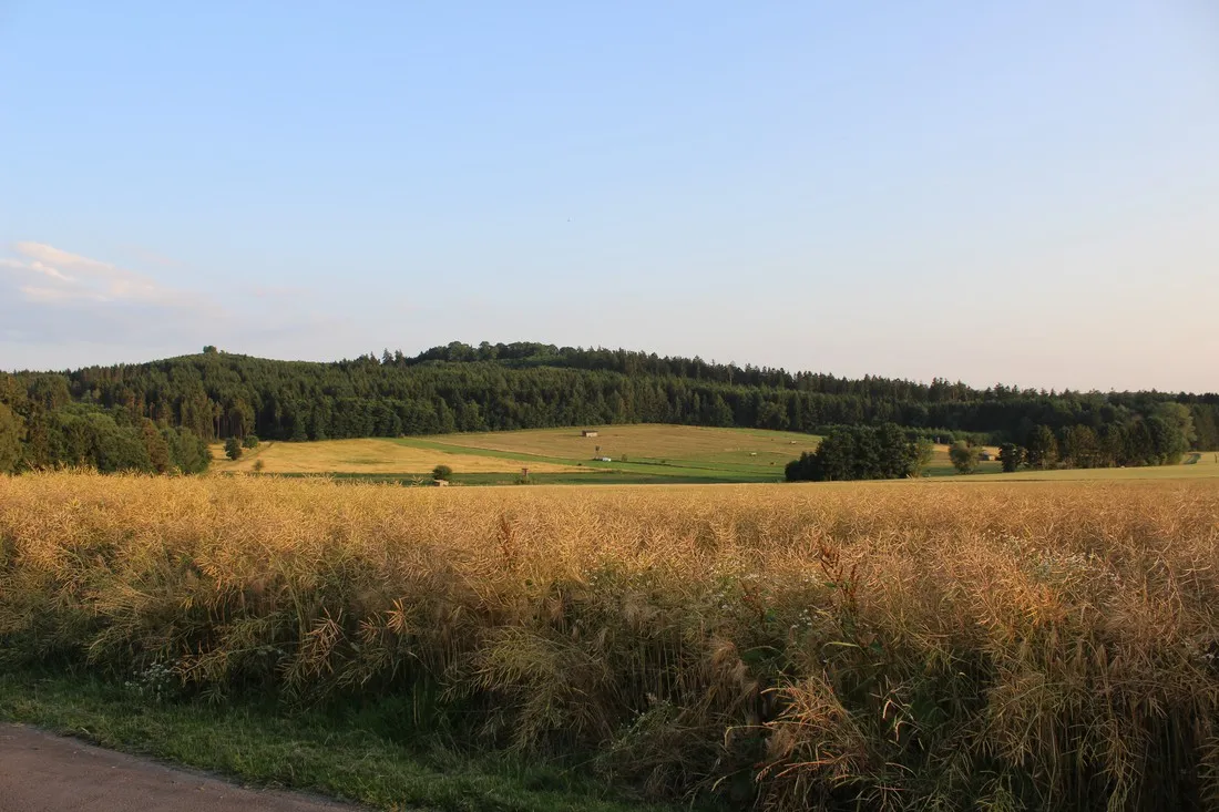 ferienanlage-erzeberg-bad-emstal-bei-kassel-bad-emstalbalhorn-hprax