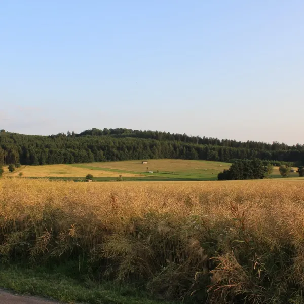 ferienanlage-erzeberg-bad-emstal-bei-kassel-bad-emstalbalhorn-hprax