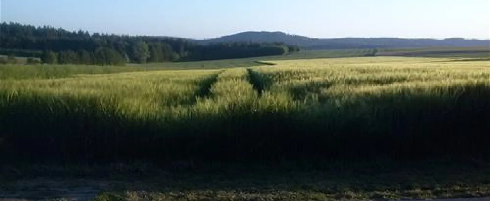 Ferienanlage Erzeberg (Bad Emstal / bei Kassel)