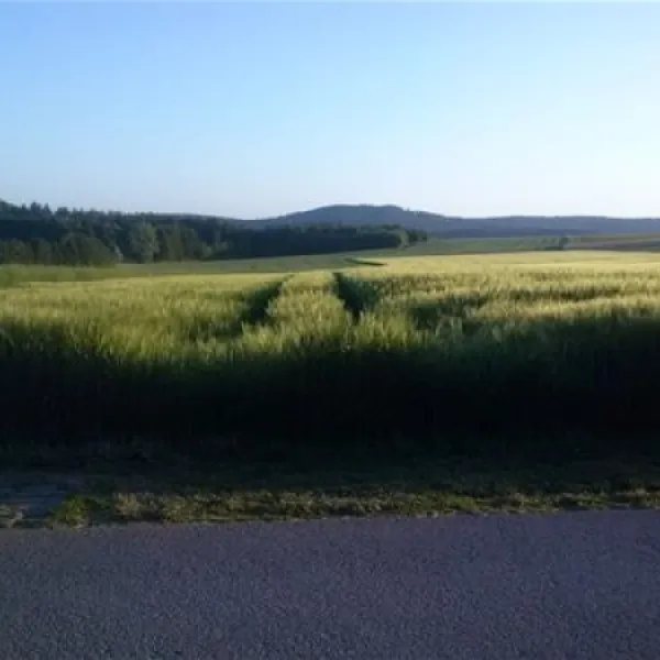 Ferienanlage Erzeberg (Bad Emstal / bei Kassel)