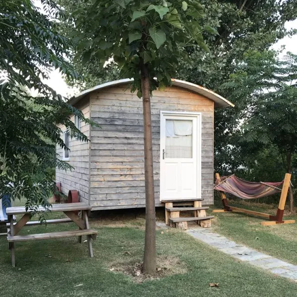 camping-lake-shkodra-resort-albania-grile-vrake-4xswn