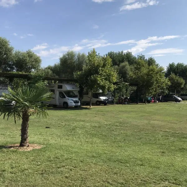 camping-lake-shkodra-resort-albania-grile-vrake-67px9